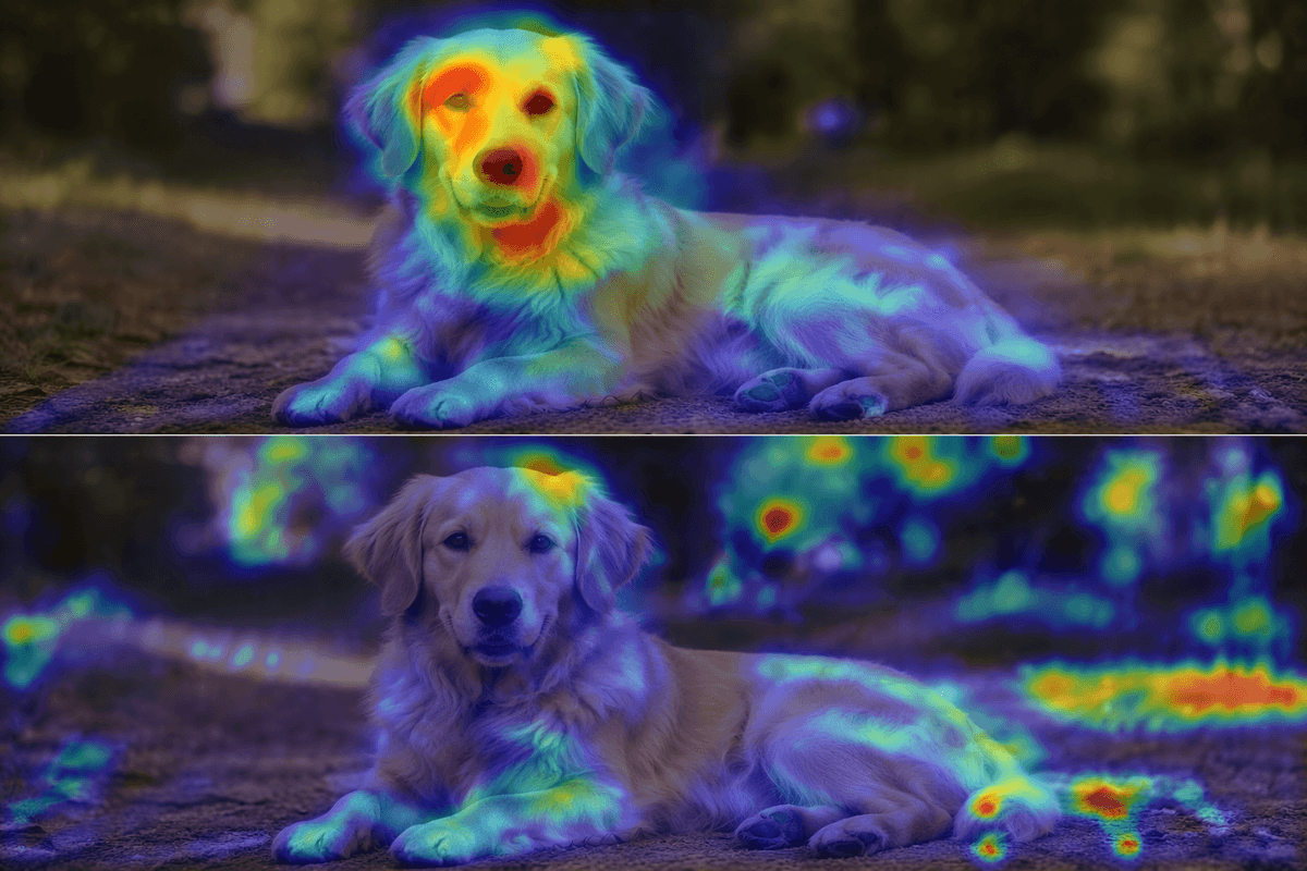When feature attributions look precise but aren’t stable